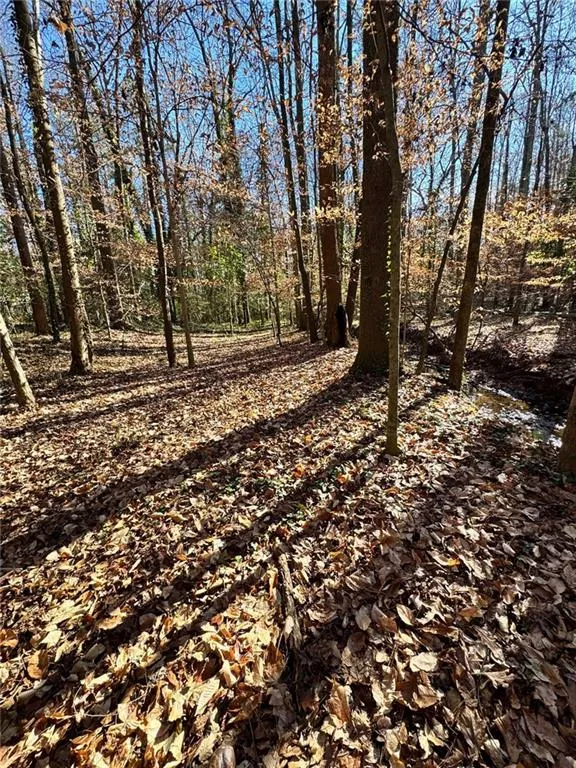 Lot 4 Miller Street Lithia Springs, GA 30122