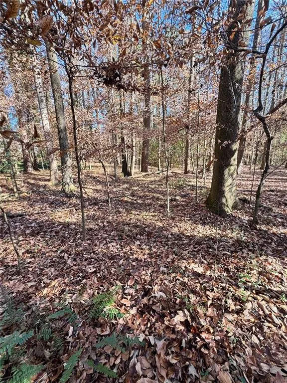 Lot 4 Miller Street Lithia Springs, GA 30122