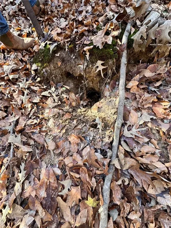 Lot 4 Miller Street Lithia Springs, GA 30122