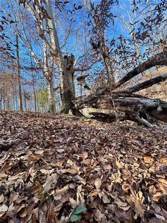 Lot 4 Miller Street Lithia Springs, GA 30122