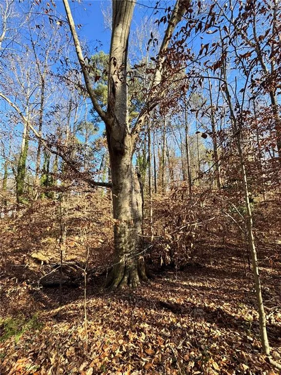 Lot 4 Miller Street Lithia Springs, GA 30122
