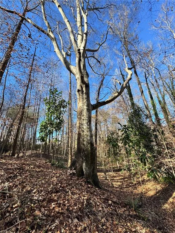 Lot 4 Miller Street Lithia Springs, GA 30122