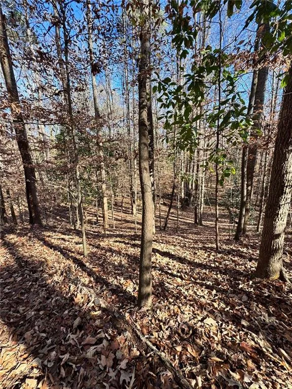 Lot 4 Miller Street Lithia Springs, GA 30122