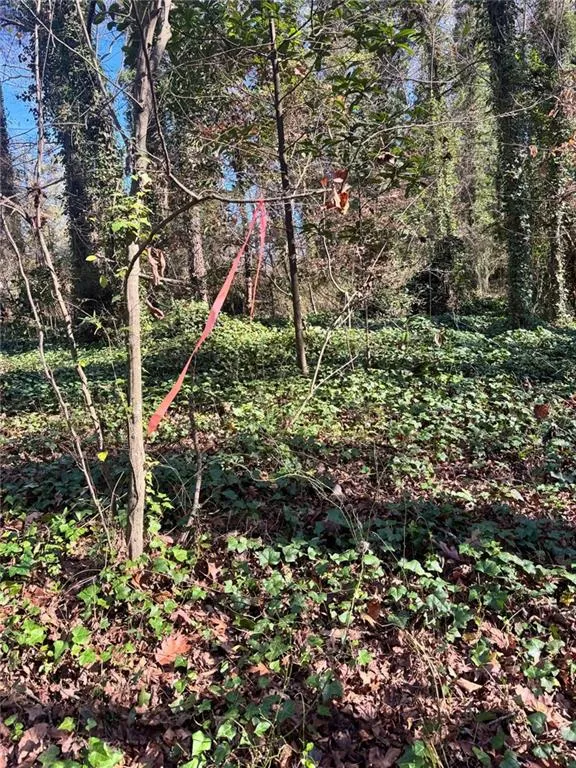 Lot 4 Miller Street Lithia Springs, GA 30122