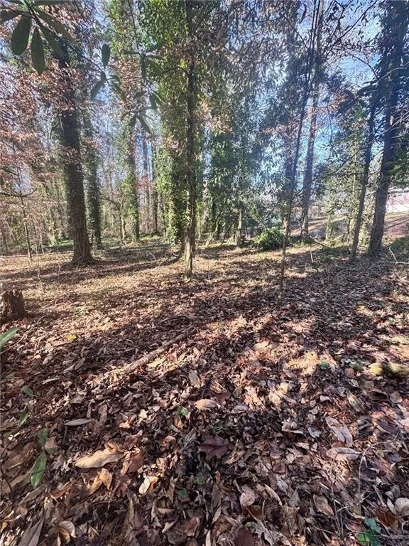 Lot 4 Miller Street Lithia Springs, GA 30122