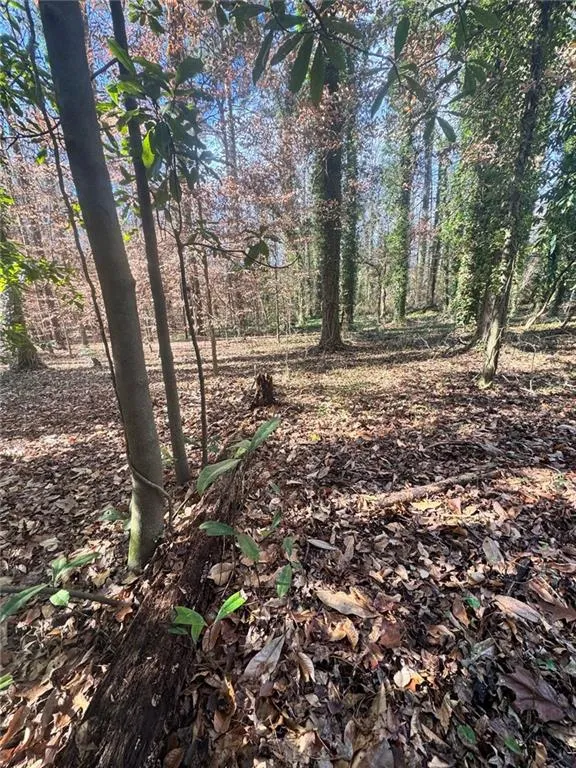Lot 4 Miller Street Lithia Springs, GA 30122