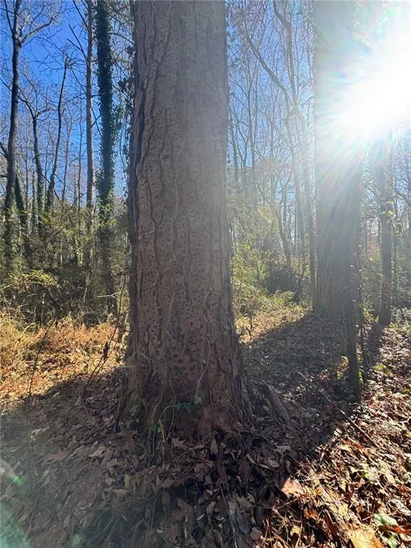 Lot 4 Miller Street Lithia Springs, GA 30122