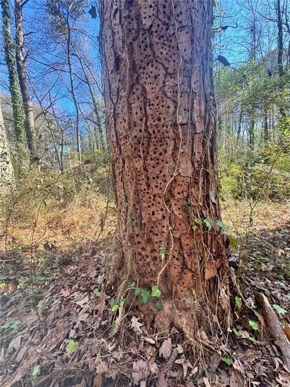 Lot 4 Miller Street Lithia Springs, GA 30122