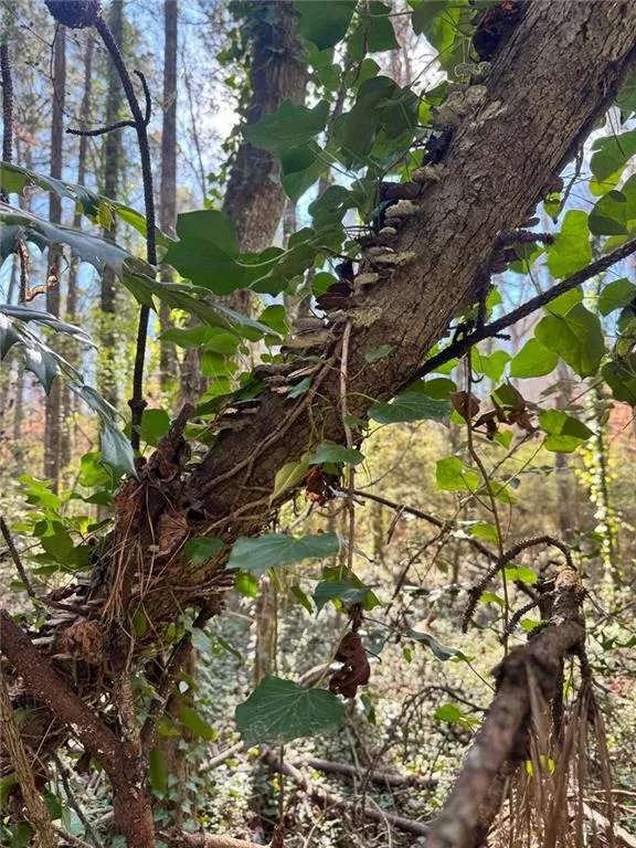 Lot 4 Miller Street Lithia Springs, GA 30122
