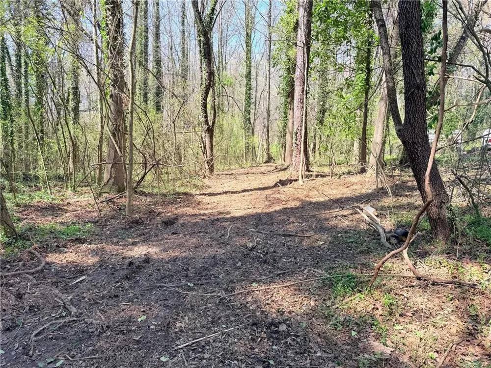 Lot 4 Miller Street Lithia Springs, GA 30122