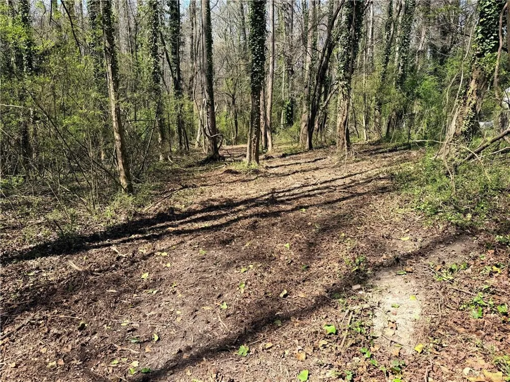 Lot 4 Miller Street Lithia Springs, GA 30122