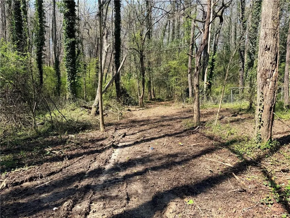 Lot 4 Miller Street Lithia Springs, GA 30122