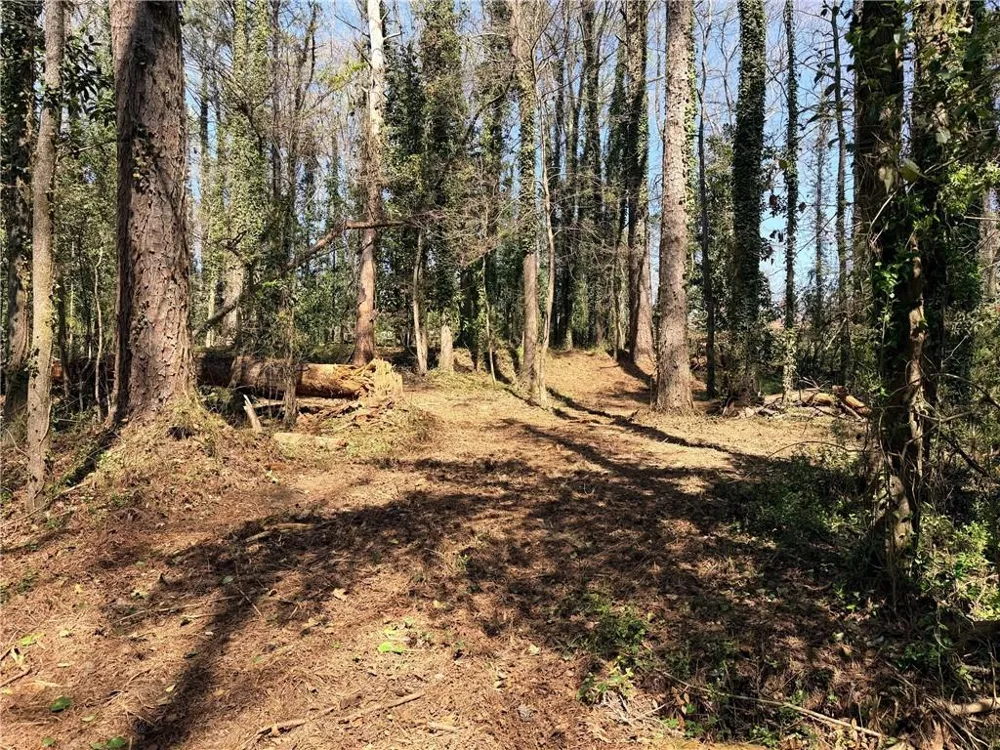 Lot 4 Miller Street Lithia Springs, GA 30122