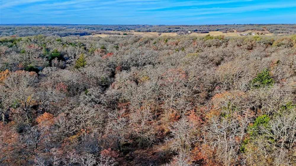 Carminati Montague, TX 76251
