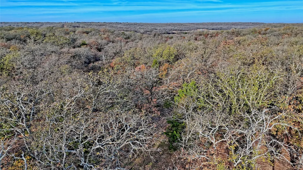 Carminati Montague, TX 76251