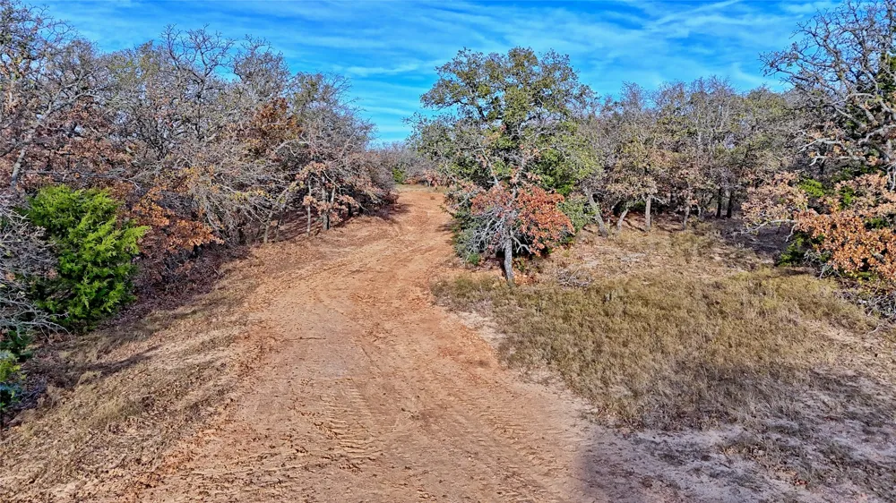 Carminati Montague, TX 76251