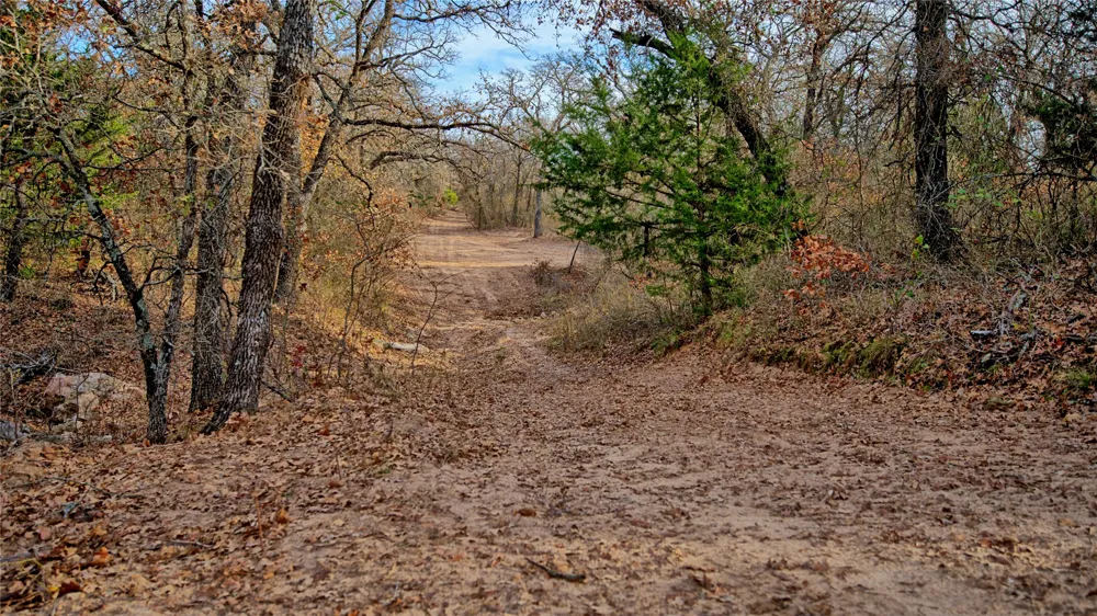 Carminati Montague, TX 76251