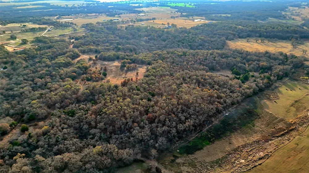 Carminati Montague, TX 76251