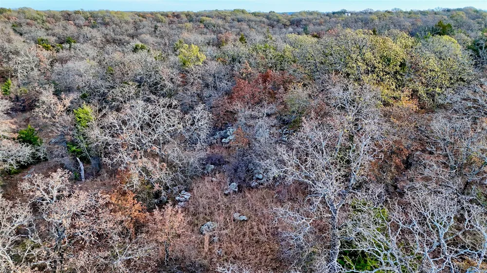 Carminati Montague, TX 76251