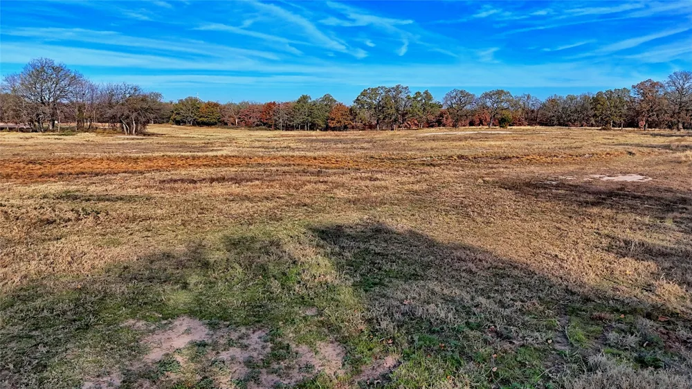 Carminati Montague, TX 76251