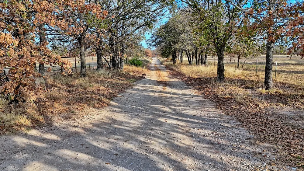 Carminati Montague, TX 76251