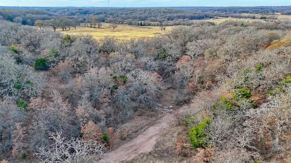 Carminati Montague, TX 76251