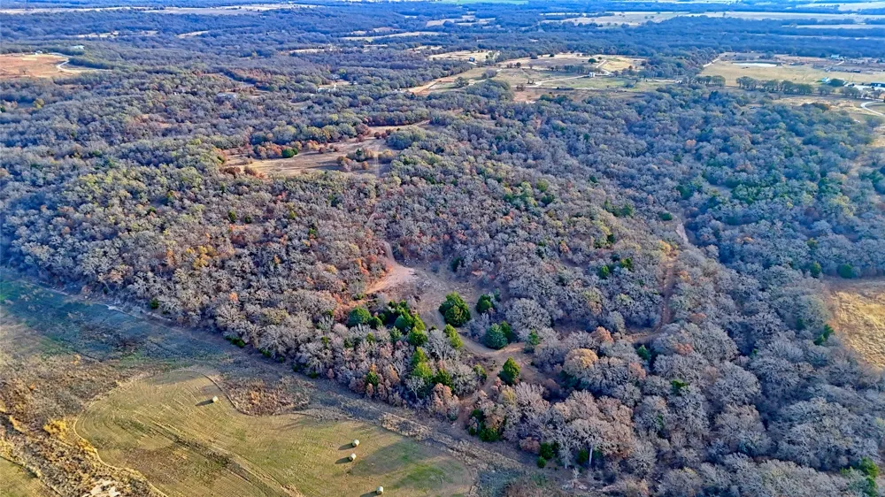Carminati Montague, TX 76251