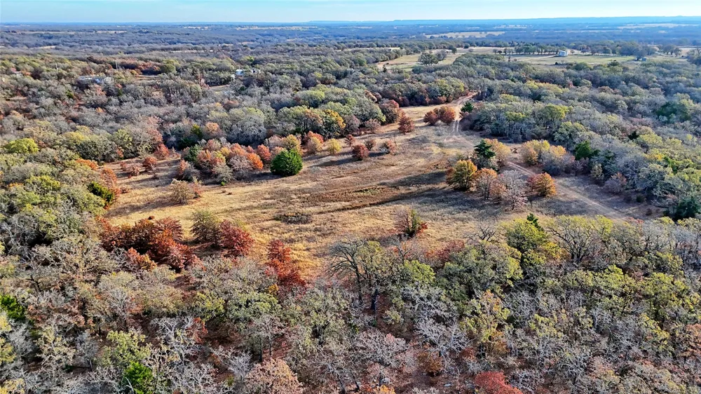 Carminati Montague, TX 76251