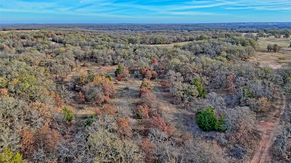 Carminati Montague, TX 76251