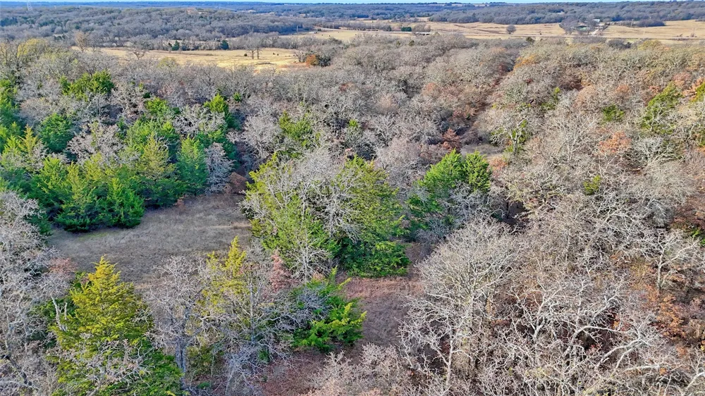 Carminati Montague, TX 76251