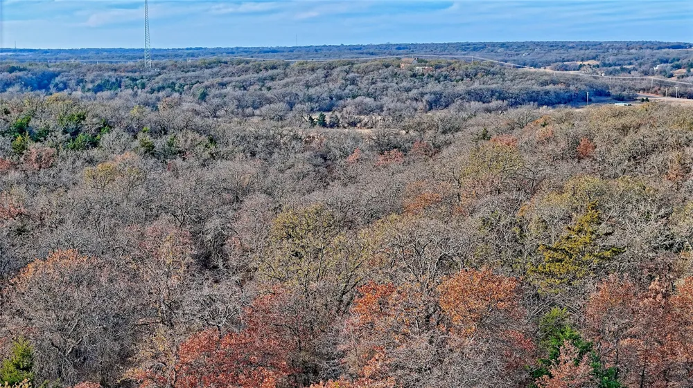 Carminati Montague, TX 76251