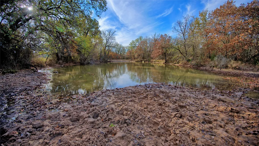 Carminati Montague, TX 76251