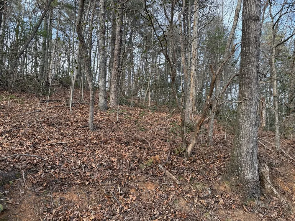 Ideal Acres Otto, NC 28763