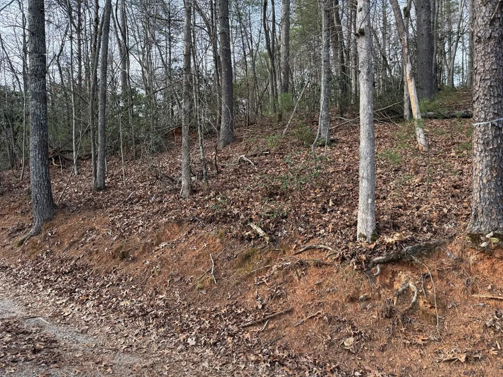 Ideal Acres Otto, NC 28763