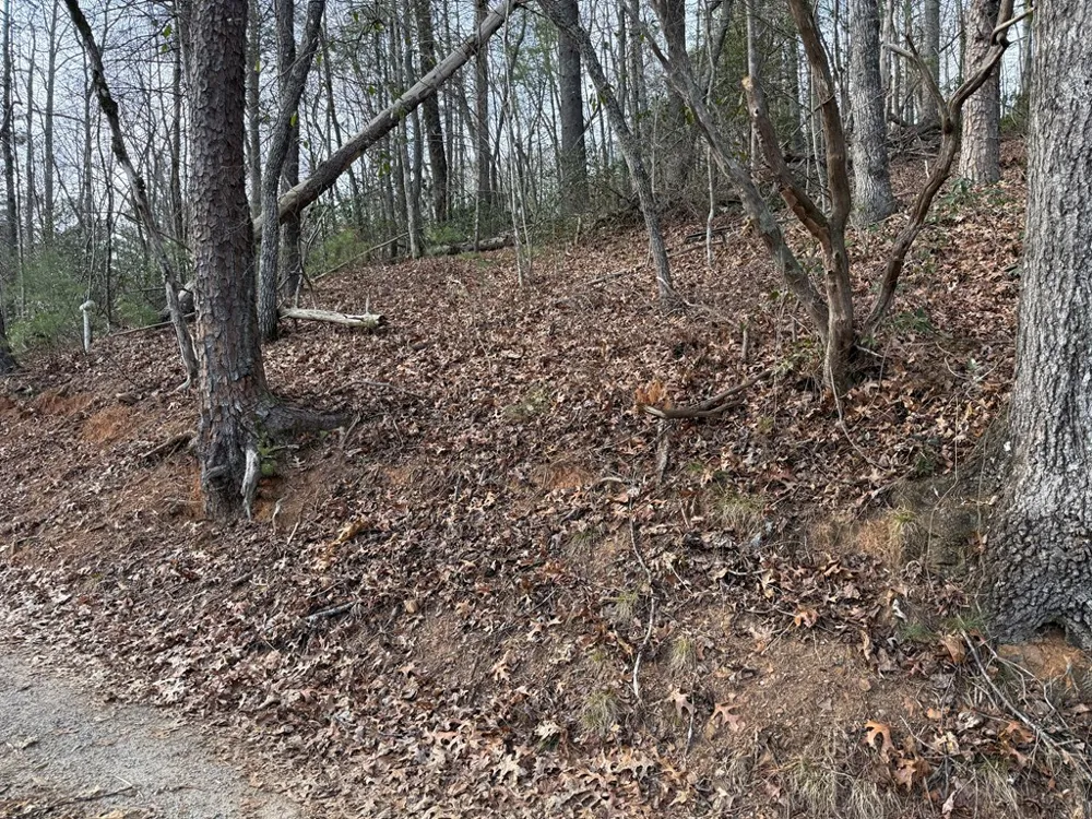 Ideal Acres Otto, NC 28763