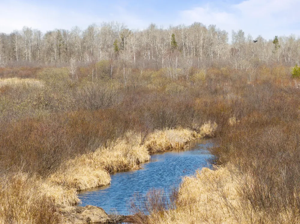 1500 40th Street SW Pine River, MN 56474