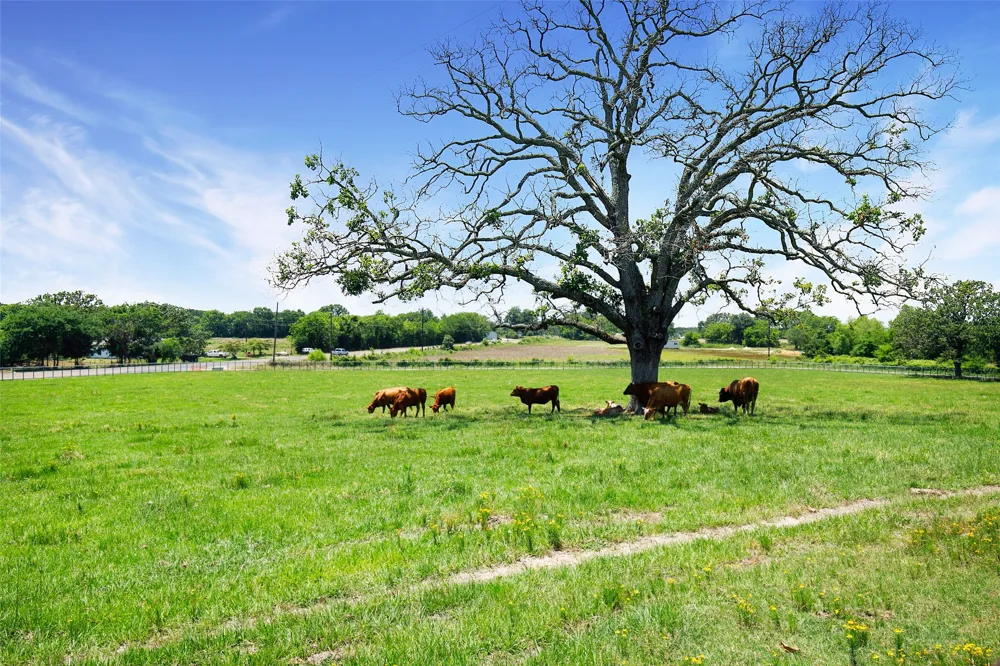 575 County Road 1214 Quitman, TX 75783