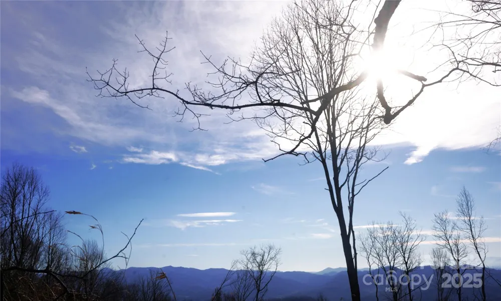 SR-1386 W Sang Branch, Hog Branch Road W Burnsville, NC 28714