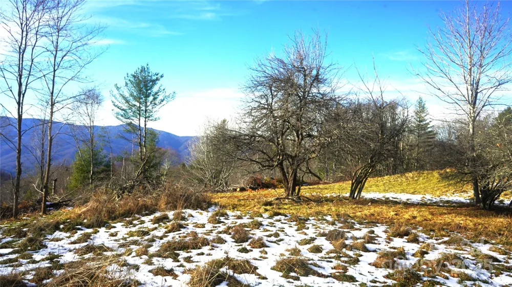 SR-1386 W Sang Branch, Hog Branch Road W Burnsville, NC 28714