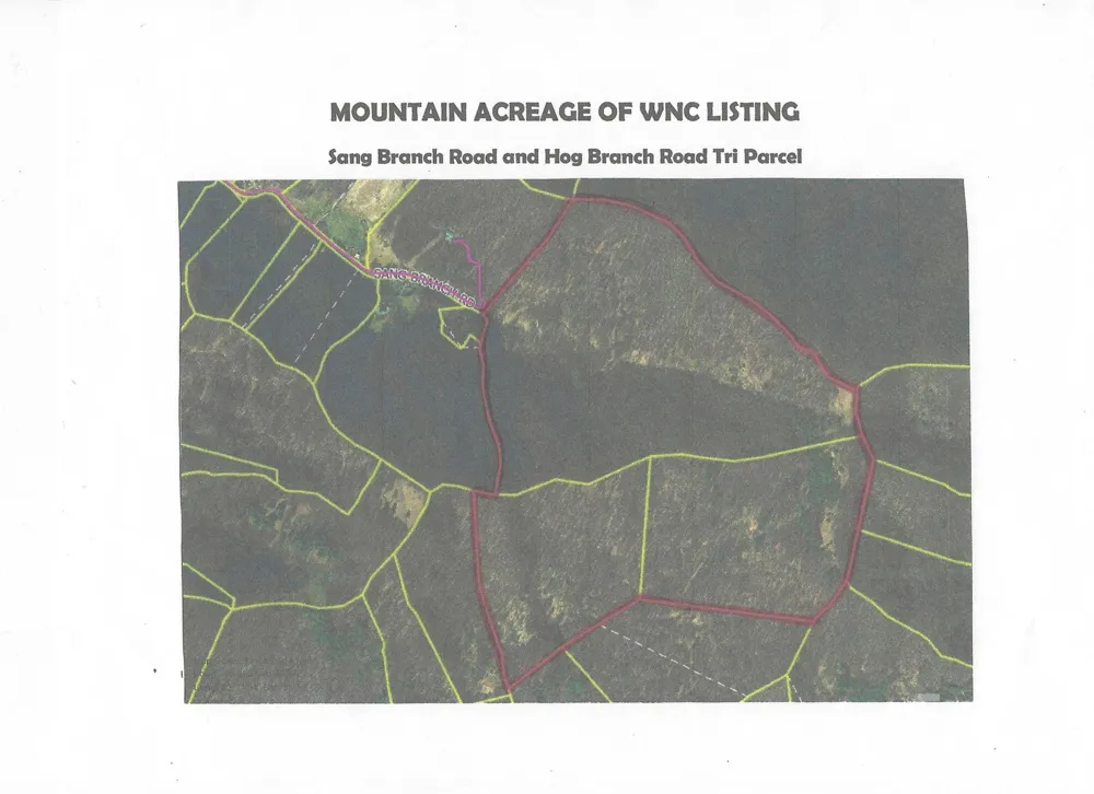 SR-1386 W Sang Branch, Hog Branch Road W Burnsville, NC 28714