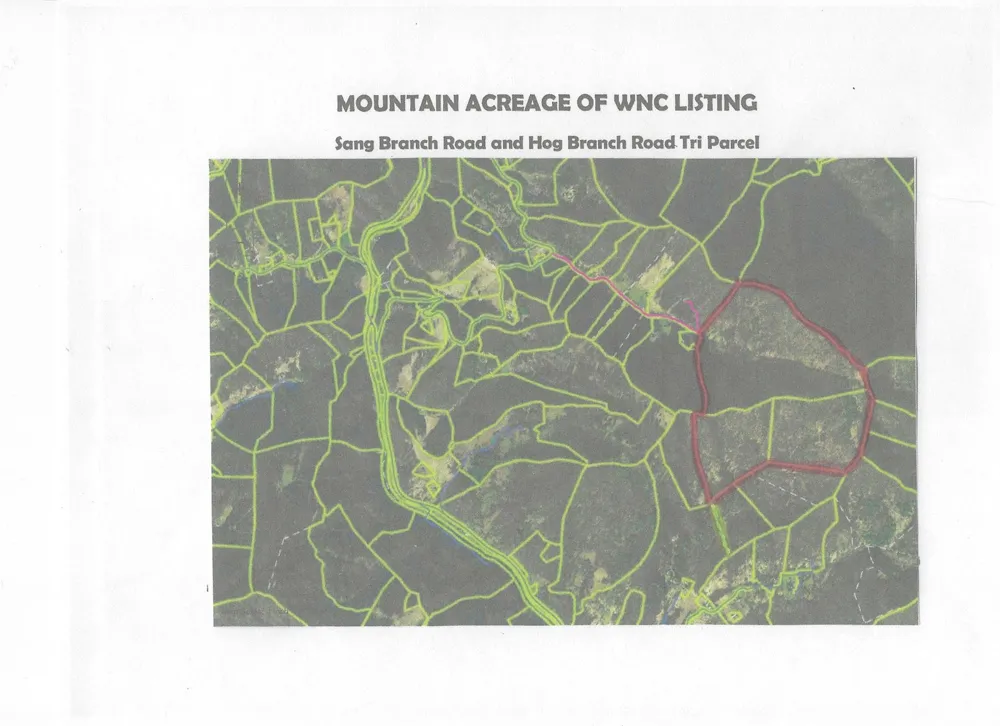 SR-1386 W Sang Branch, Hog Branch Road W Burnsville, NC 28714