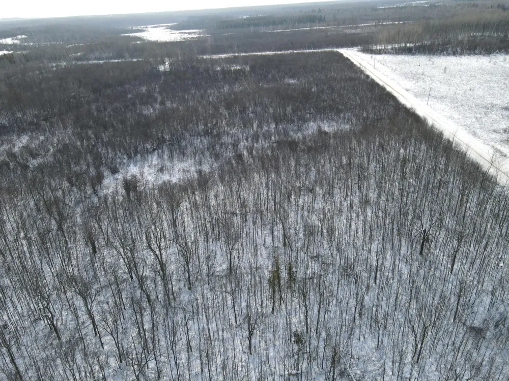 TBD Seville Road Saginaw, MN 55779