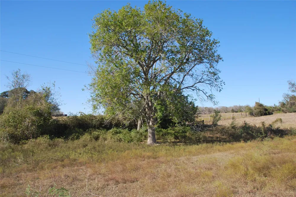 Fm 532 Hallettsville, TX 77964