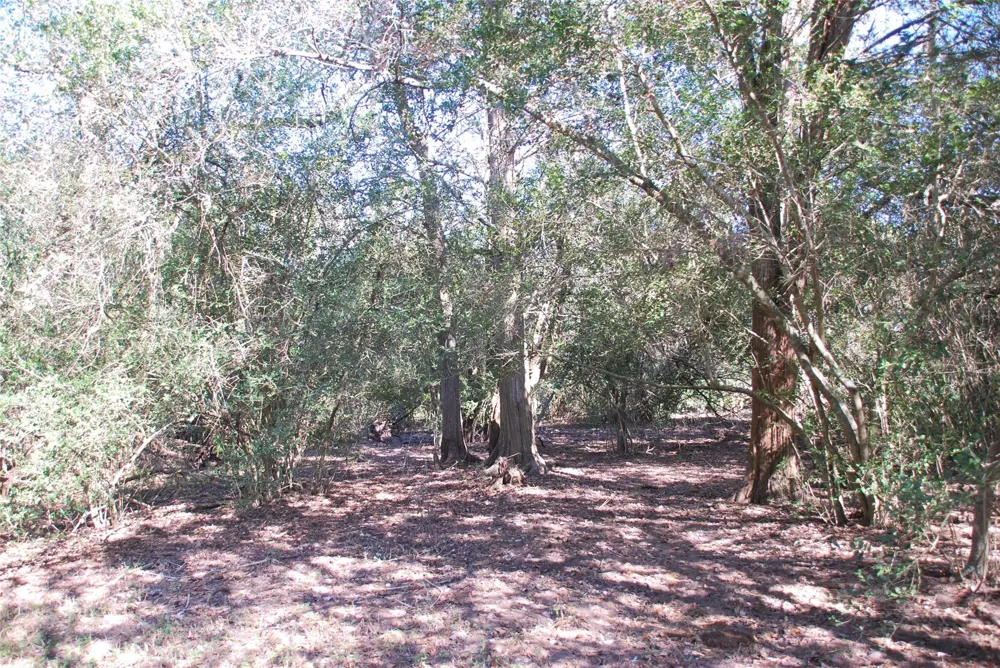 Fm 532 Hallettsville, TX 77964
