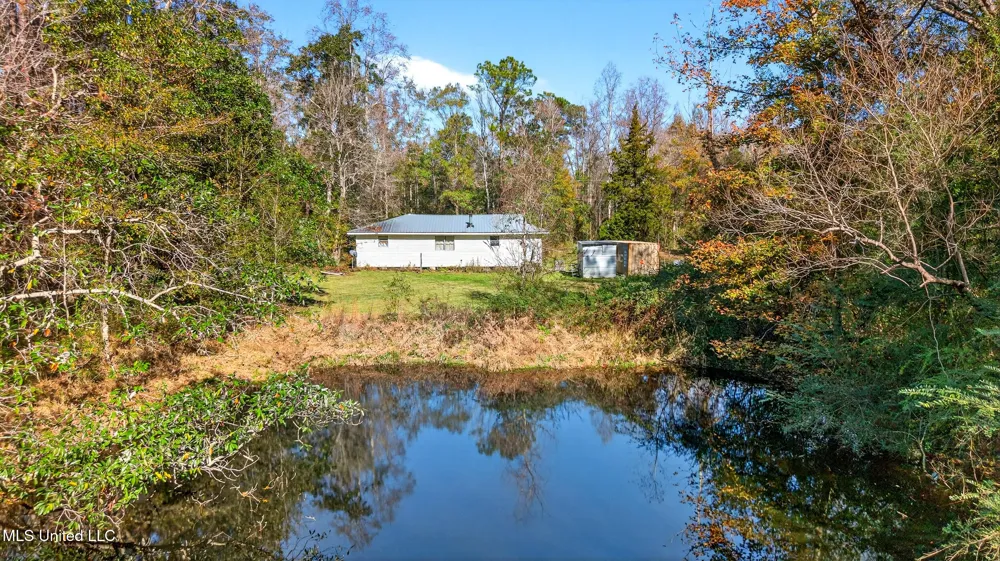 21 Richard Johnson Road Carriere, MS 39426