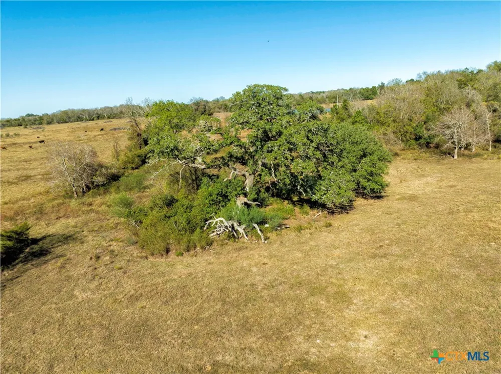 FM 532 Hallettsville, TX 77964
