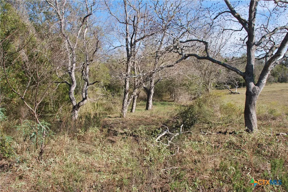 FM 532 Hallettsville, TX 77964