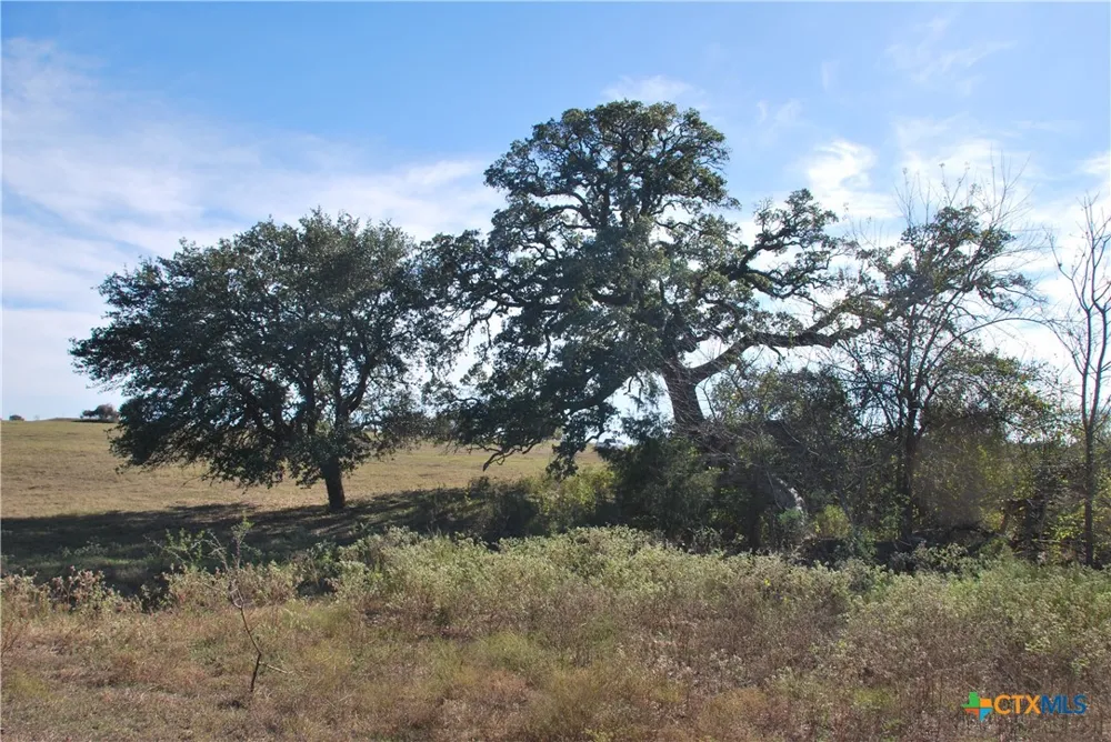 FM 532 Hallettsville, TX 77964