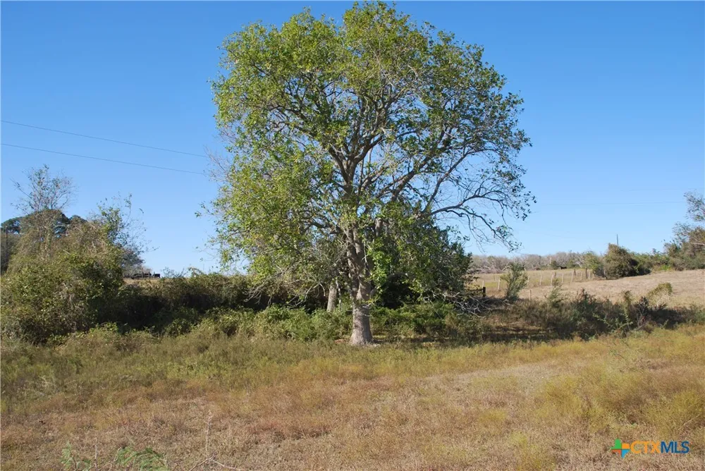 FM 532 Hallettsville, TX 77964