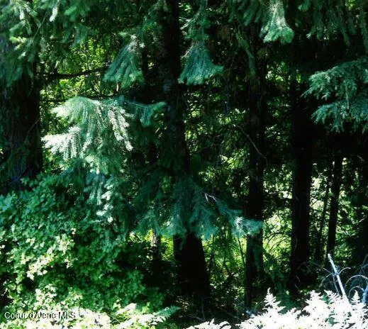 NKA TAMARACK RIDGE ROAD 1.35 ACRES Cataldo, ID 83810